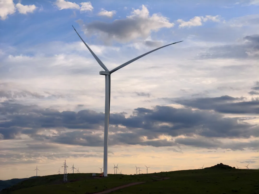 81140319665877315584