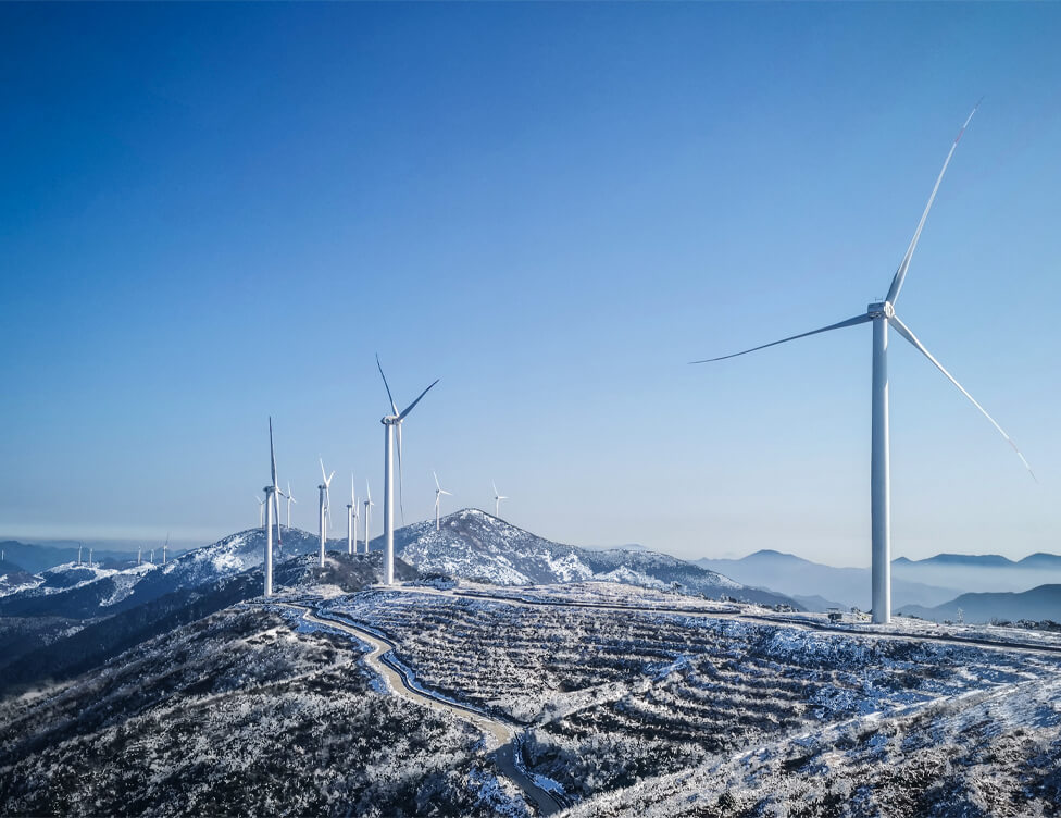 Green Supply Chain Project